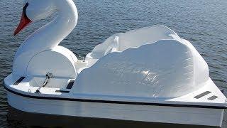 Closer Look At Swan Chariot Pedal Boat