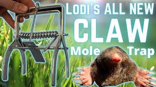 How to Set Talpex style Mole Traps - SUCCESS EVERY TIME Road test of LODIs mole CLAW TRAP