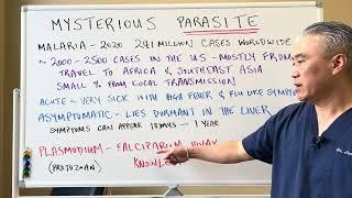 Mysterious PARASITE--Malaria Plasmodium
