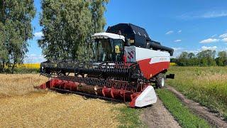 Уборка озимой Пшеницы 2022  Битва за урожай  ACROS 585