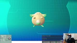 Live Shiny Chansey with lure Win or Fail?