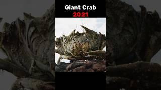 Evolution of Giant Crab #shorts #evolution
