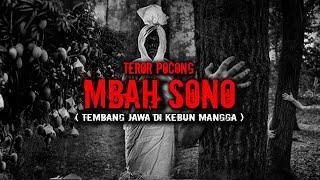 TEROR POCONG MBAH SONO  TEMBANG JAWA MISTERIUS DI KEBUN MANGGA 