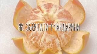 Мандарины - как выбрать самые вкусные? Чем они полезны и как их хранить?