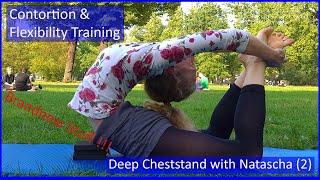 Contortion Training by Flexyart 215 Deep Cheststand 2  - Also for Yoga Poledance Ballet Dance