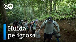 Colombia la huida a través de la selva del Darién