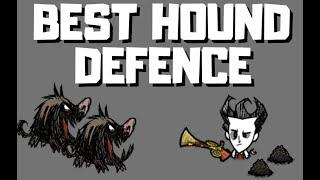 Dont Starve Together Guide - How to set up a low maintenance hound defence in DST