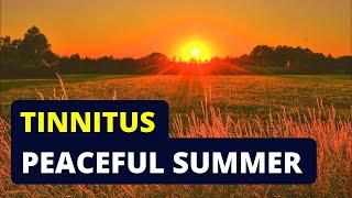 Best Tinnitus Relief Sound Therapy Treatment  Over 1 Hour Of Tinnitus Masking With Crickets