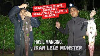 Hasil Mancing Sore sampai Malam Saat Hujan  Intinya yakin  Salam Udud Awag @jungwis channel