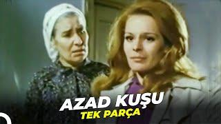 Azad Kuşu  Tarık Akan - Hülya Koçyiğit Eski Türk Filmi