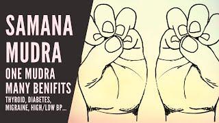 Samana Mudra  One Mudra Many Benefits  Thyroid Diabetes Migraine HighLow BP and more