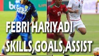 Febri Hariyadi - Persib  Timnas Indonesia - Goals Skills Assists 2017 Part 1