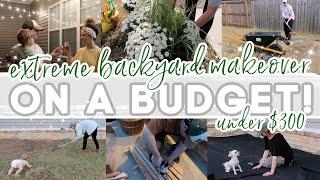 EXTREME BACKYARD MAKEOVER  EASY AND UNDER $300  BACKYARD TRANSFORMATION  Lauren Yarbrough
