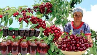 We picked cherries. How to make cherry jam and cherry compote?