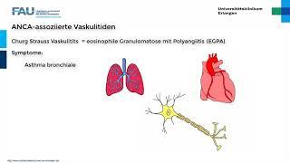 Rheumatologie ─ Vaskulitiden Teil 33