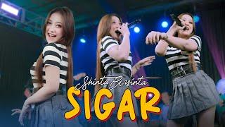 SIGAR - SHINTA ARSINTA Official Music Live Kesan indah pertama kau datang seolah cinta