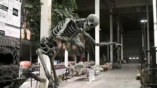 SKEL203 Lunging Super Skeleton