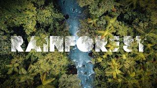 Rainforest  Costa Rica Documentary