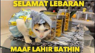 SELAMAT LEBARAN DARI KAMI KELUARGA KUCING YATIM MAAF LAHIR BATIN