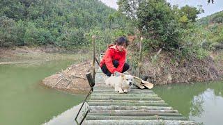 Build a bamboo bridge off gridEp1