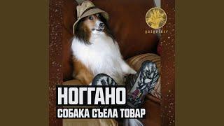 Собака съела товар