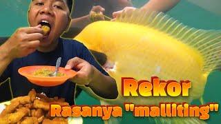 Ikan Red Devil TERBESAR Yang Saya Dapat REKOR. Langsung filet Goreng Tepung Rasanya MALLITING