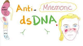 Anti-dsDNA autoantibodies - Mnemonic - Systemic Lupus Erythematosus SLE