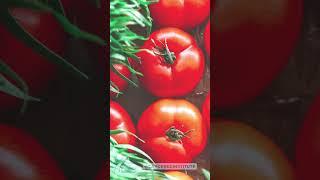 17 Foods you SHOULD Eat ORGANIC they absorb pesticides  CERI  #EducationalShorts