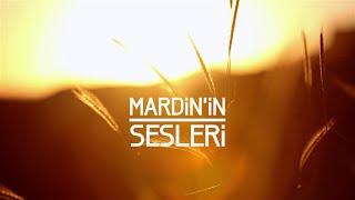 MARDİNİN SESLERİ  SOUNDS OF MARDIN 马尔丁声音