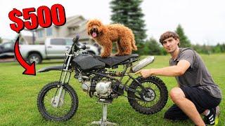 I Bought a $500 Pit Bike Sat In a Barn For Years