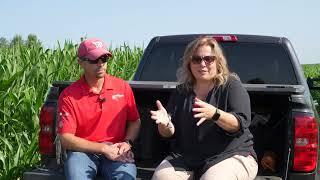 Bumper Crops Tar Spot on Corn