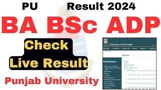 Result Check 2024 ADA ADS ADP BA BSc Exams 2024 PU  Punjab University Result 2024