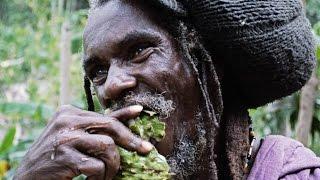 Rastafarian encounter in the Canaan Mountains Jamaica