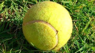 Если вы Нашли Теннисный Мячик Не Поднимайте Его