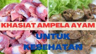 4 Manfaat Ampela Ayam dan Kandungannya yang Perlu Kamu Tahu