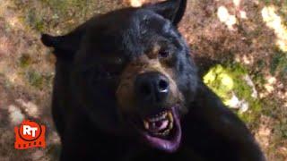 Cocaine Bear 2023 - Eaten Alive in the Tree Scene  Movieclips