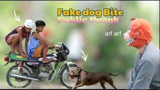 FAKE DOG BITE PUBLIC PRANK  Akala nila nakagat talaga sila 