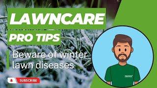 Beware of Winter Lawn Diseases  TruGreen Lawn Tips