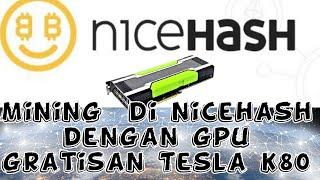 mining di nicehash dengan gpu gratisan - Tesla k80