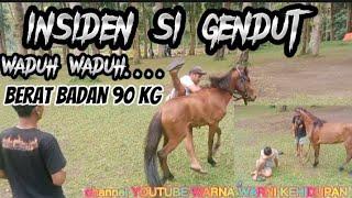 insiden naik kuda