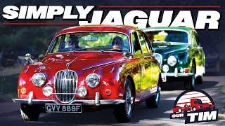 The Best Jaguar Car Show Ive Ever Seen -- Simply Jaguar 2024