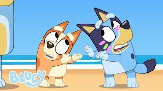 Aventuras de viaje  Bluey Español Canal Oficial