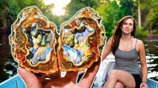 These Rocks Will BLOW Your MIND We Found Agate Geodes INSIDE Fossil Coral️️