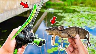 Fishing w SNAKES & RATS in SMALL Ponds