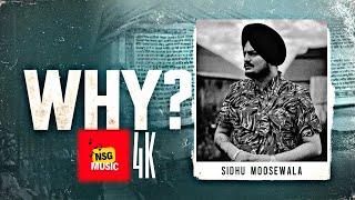 WHY? Sidhu MooseWala Ai 4K Latest New Punjabi songs 2024 Jaskaran Riarr