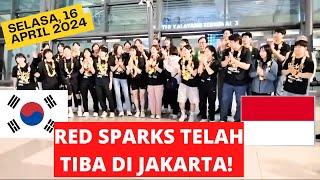Tim Bola Voli Korea Selatan Red Sparks Telah Mendarat Di Jakarta - Tanding Lawan Indonesia All Star