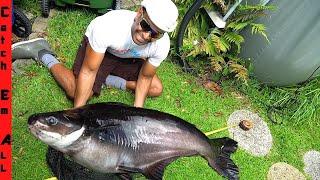 DRAINING the GIANT PET FISH POND **Measuring all my Massive Fish**