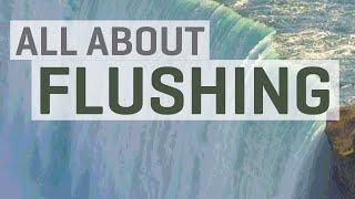 All About Flushing Leaching with Hydroponics