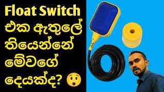 Float switch එක ඇතුලේ තියන්නේ මේ වගේ දෙයක්ද?  What is the float switch  float switch  ruka vlogs