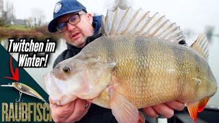 Barschangeln bei Hochwasser mit Hardbaits